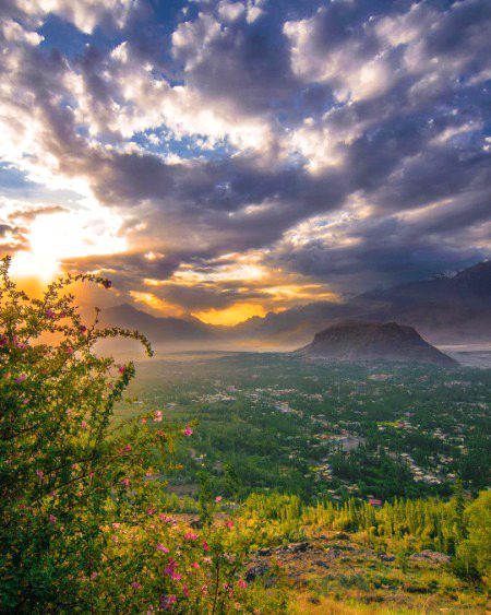 Beautiful Nature image