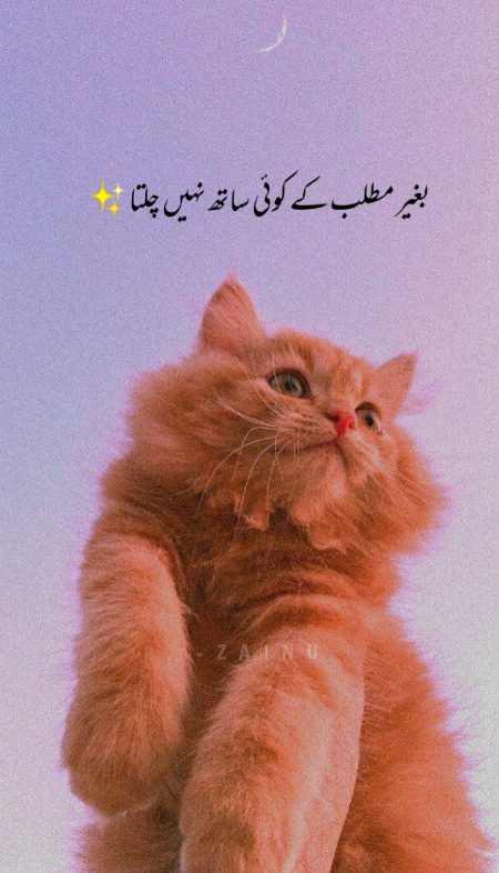 Memes & Satire image