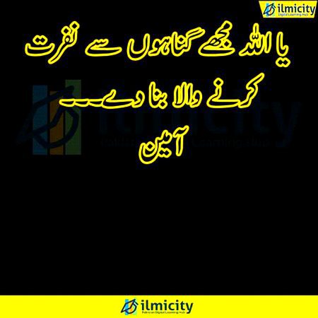 Islamic Quotes image