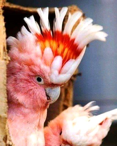 Beautiful Nature image