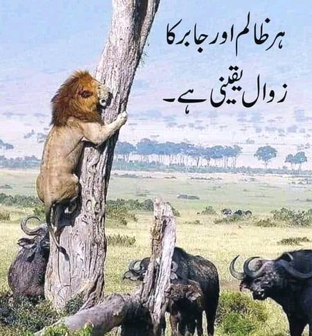 ظلم او جبر کا زوال ہوتا ہے
