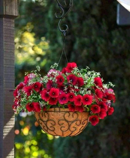 جب وہ راضی ھوتا ھے تو پوری کائنات کو وسیلہ بنا دیتا ھے😊