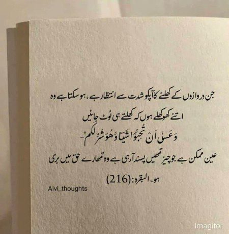 ہو سکتا ہے وہ اتنے کھوکھلے ہیں کہ کھلتے ہی ٹوٹ جائیں