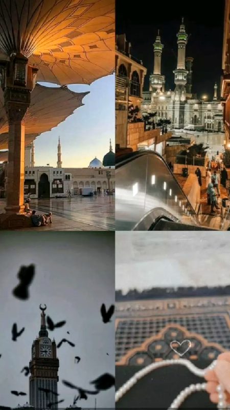 Beautiful Structures image