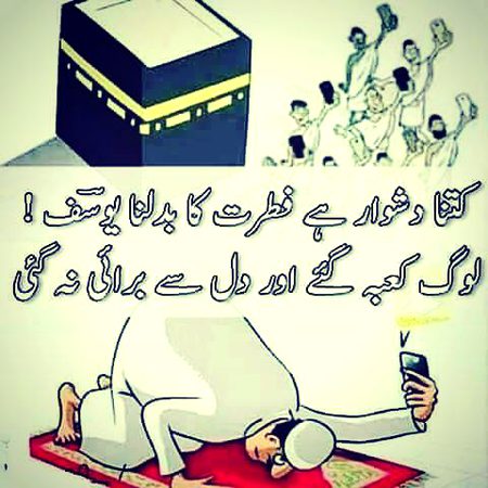 Memes & Satire image