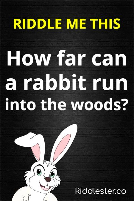 Riddles & Puzzles image