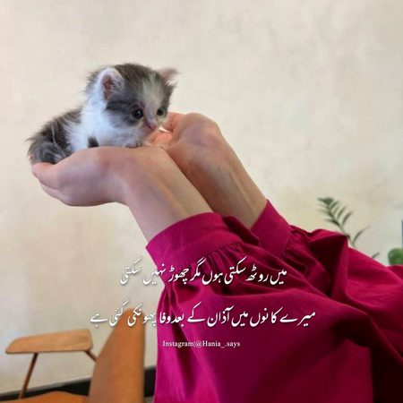 Attitude Poetry image