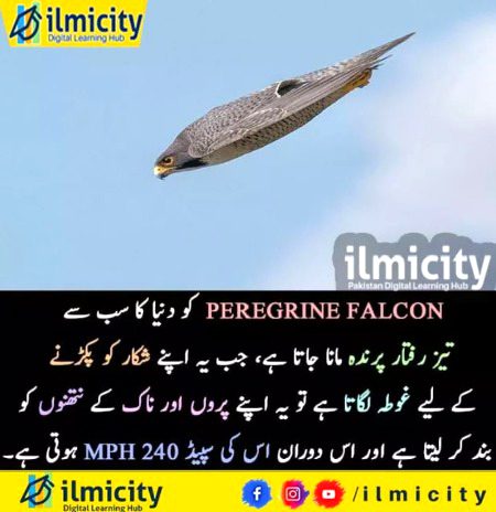 Interesting Posts image