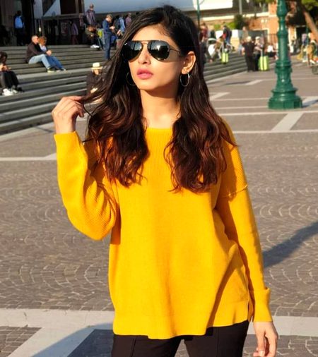 Pakistani Celebs image