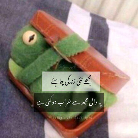 Memes & Satire image