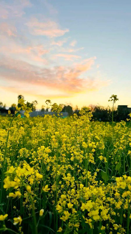 Beautiful Nature image