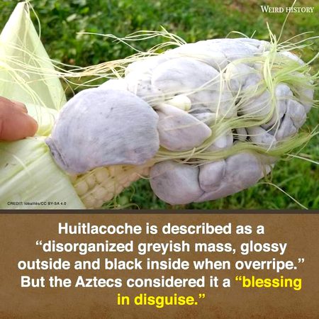 Interesting Posts image