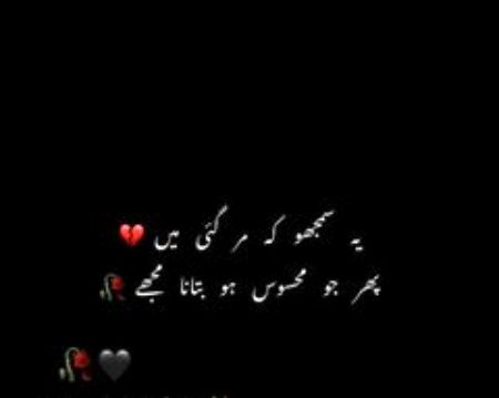 Sad Poetry image