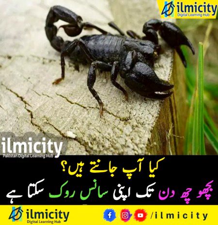 Interesting Posts image