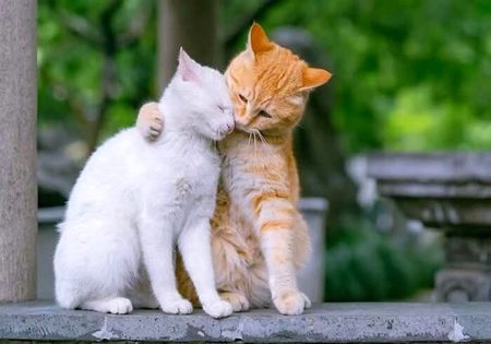 Beautiful Nature image