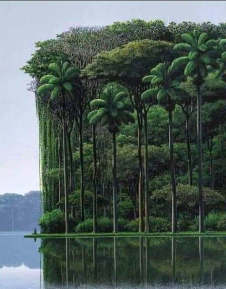 Beautiful Nature image