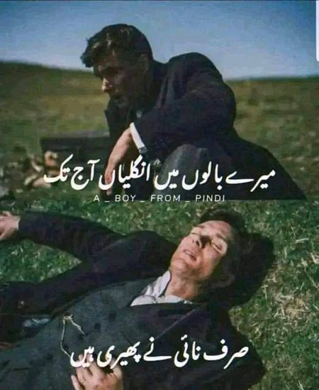 Memes & Satire image