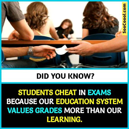 Tips for Students image