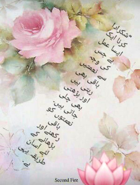 Motivational Quotes image