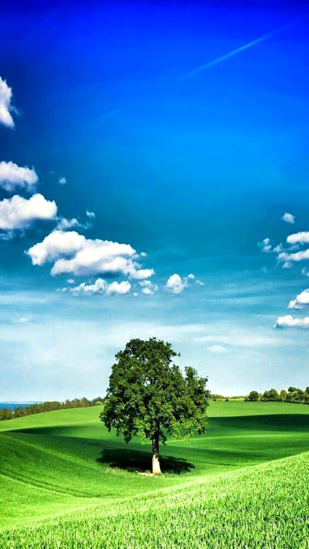 Beautiful Nature image