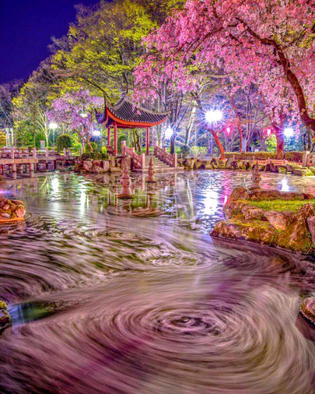 Beautiful nature👌👌👌