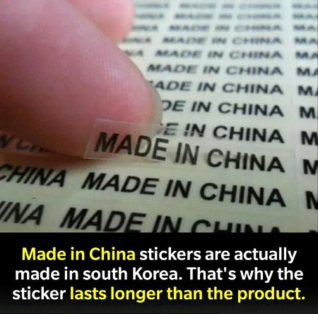 Interesting Posts image