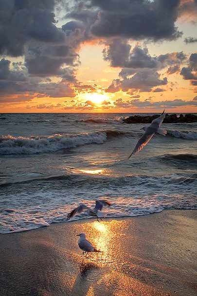 Beautiful Nature image
