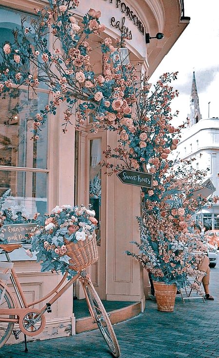 Beautiful Nature image