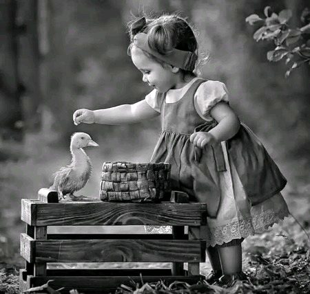 یہ اداسی تو  وراثت  میں ملی  ہے  مجھکو... 
میں وہ بچی تھی جسے کھیل سے ڈر لگتا تھا،،، 
میں نے اس وقت سے اوڑھی ہے اداسی...
جب  درختوں کو  امربیل  سے  ڈر  لگتا  تھا،،،🖤🦋