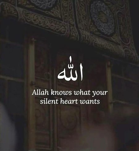 السلام علیکم ورحمتہ اللہ وبرکاتہ 
صبح بخیر
 ہماری کوششیں ناکام ہو سکتی ہیں لیکن اللہ تعالیٰ کی طاقت نہیں، مُقدر دُعاؤں کا پابند ہے دُعائیں مقدر کی پابند نہیں تب بھی مانگو جب قبولیت کی کوئی بھی وجہ باقی نہ رہے کیونکہ صرف اللہ ہی ہے جو دُکھی دل کی خاموش صدائیں سنتا ہے۔
جن کے دل کی بات اس دنیا میں سننے والا کوئی نہیں ہوتا اُن کی باتیں اس دل کا مکیں سنتا ہے۔ بڑے غور سے دھیان اور پورے خلوص کے ساتھ اور اللہ تعالیٰ جس دل میں رہتا ہے اسے دنیا والوں سے بات کرنے کی حاجت نہیں رہتی۔
اللہ تعالیٰ ہم سب کوایمان و صحت کے خزانوں سے مالا مال فرمائےہمارے اعمال ومعاملات کی اصلاح فرمائے اور سب کی جائز دعائیں قبول و منظور فرمائے ۔
آمین یا رب العالمین🤲