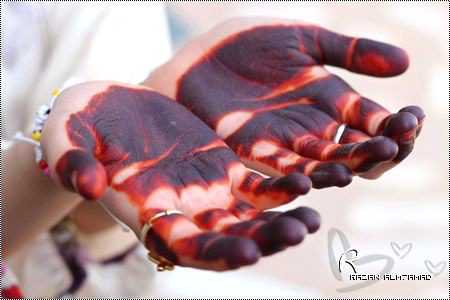 Mehndi Design image