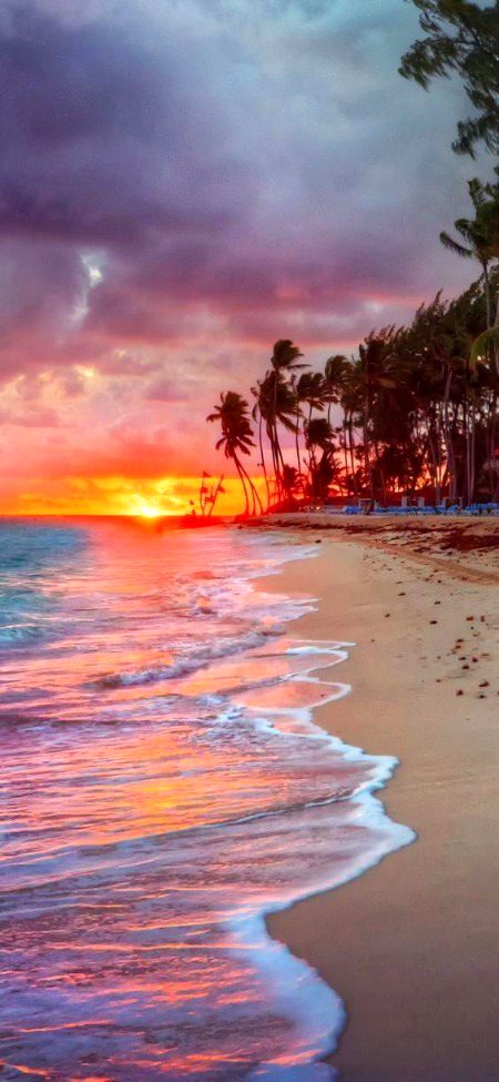 Beautiful Nature image
