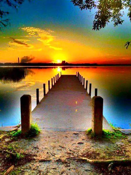 Beautiful Nature image