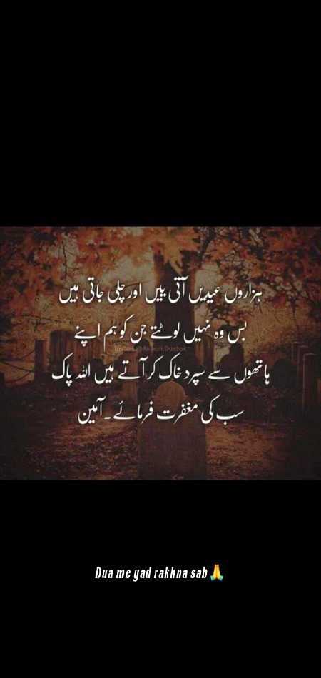 Shahnoor Abbasid