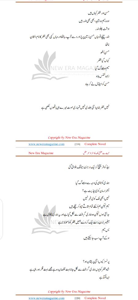 Romantic Novels image