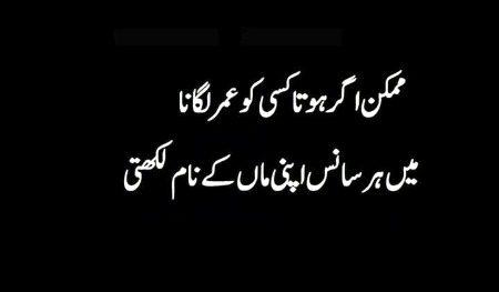 Assalamualaikum ❤️