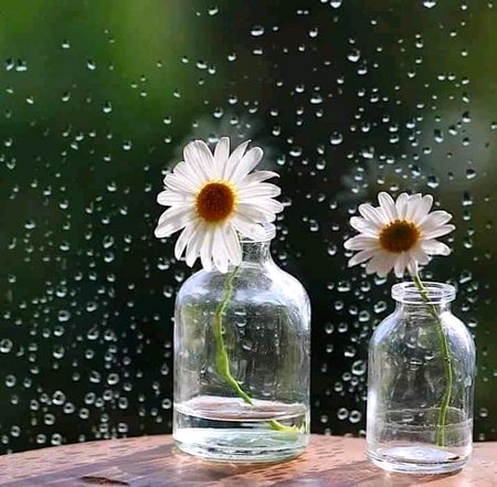 Beautiful Nature image