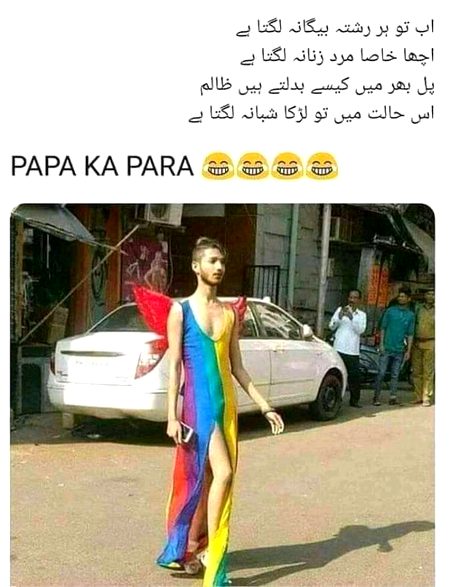 Memes & Satire image