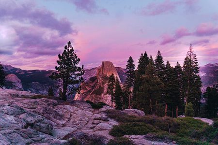 Beautiful Nature image