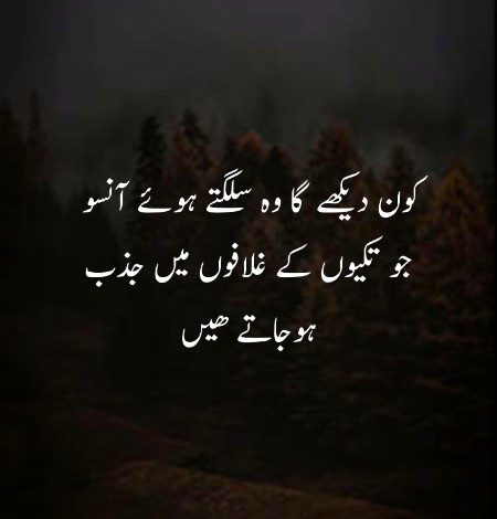 Sad Poetry image