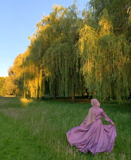Beautiful Nature image