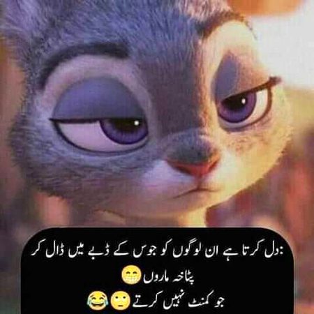 DD bxchi,