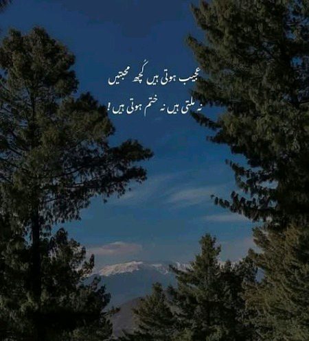 Sad Poetry image
