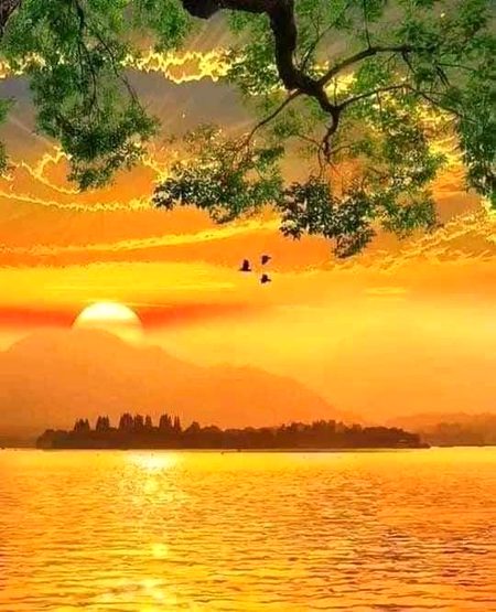 Beautiful Nature image