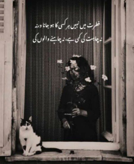 Attitude Poetry image