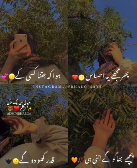 Attitude Poetry image