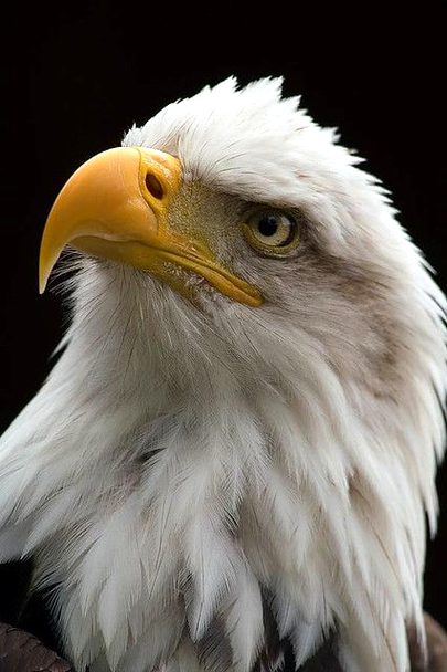 Beautiful Nature image