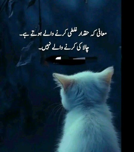 Life Advice image