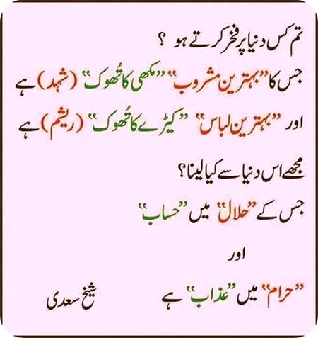 🍁Zoq_Shab🍁