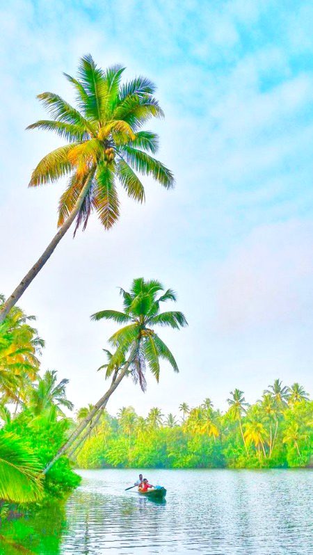 Beautiful Nature image